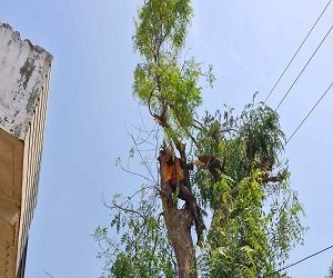 CG Breaking – हाइटेंशन तार की चपेट में आया बुजुर्ग, मौके पर हुई मौत…